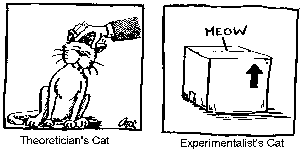 Katze
