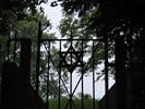 DSC00463 (800x600, 163,2 kilobytes)
