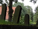 DSC00464 (800x600, 169,4 kilobytes)