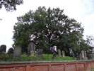 DSC00465 (800x600, 182,4 kilobytes)