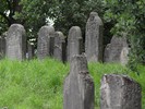 DSC00469 (800x600, 182,5 kilobytes)