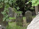 DSC00473 (800x600, 182,9 kilobytes)