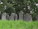 DSC00474 (800x600, 215,9 kilobytes)