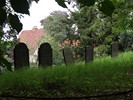 DSC00475 (800x600, 192,4 kilobytes)