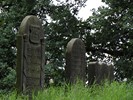 DSC00476 (800x600, 190,8 kilobytes)