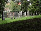 DSC00478 (800x600, 208,9 kilobytes)