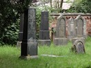 DSC00480 (800x600, 185,1 kilobytes)