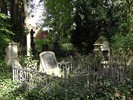 DSC00208 (800x600, 242,4 kilobytes)
