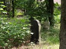 DSC00222 (800x600, 248,1 kilobytes)