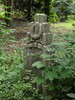 DSC00226 (600x800, 204,6 kilobytes)