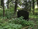 DSC00231 (800x600, 254,1 kilobytes)