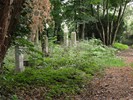 DSC00233 (800x600, 236,7 kilobytes)