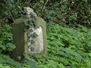 DSC00246 (800x600, 190,4 kilobytes)