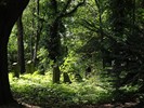DSC00252 (800x600, 231,6 kilobytes)