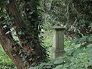 DSC00261 (800x600, 192,6 kilobytes)