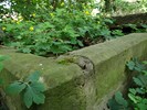 DSC00282 (800x600, 188,3 kilobytes)