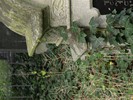 DSC00293 (800x600, 155,8 kilobytes)