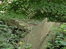 DSC00294 (800x600, 180,4 kilobytes)