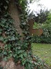 DSC00415 (600x800, 211,4 kilobytes)