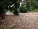 DSC00416 (800x600, 236,0 kilobytes)
