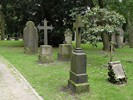 DSC00437 (800x600, 204,5 kilobytes)