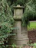 DSC00445 (600x800, 218,3 kilobytes)