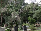 DSC00390 (800x600, 249,8 kilobytes)