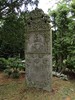 DSC00395 (600x800, 224,3 kilobytes)