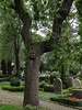 DSC00403 (600x800, 237,3 kilobytes)