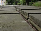 DSC00412 (800x600, 133,5 kilobytes)