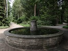 DSC00355 (800x600, 189,6 kilobytes)