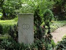 DSC00356 (800x600, 247,8 kilobytes)