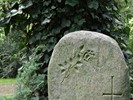 DSC00357 (800x600, 174,4 kilobytes)