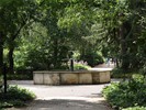 DSC00366 (800x600, 216,2 kilobytes)