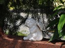 DSC00375 (800x600, 176,8 kilobytes)