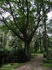 DSC00381 (600x800, 235,1 kilobytes)